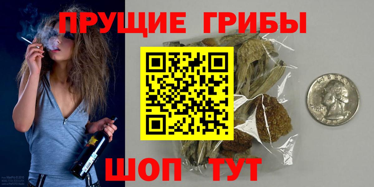 Псилоцибиновые грибы Psilocybine cubensis Чебоксары