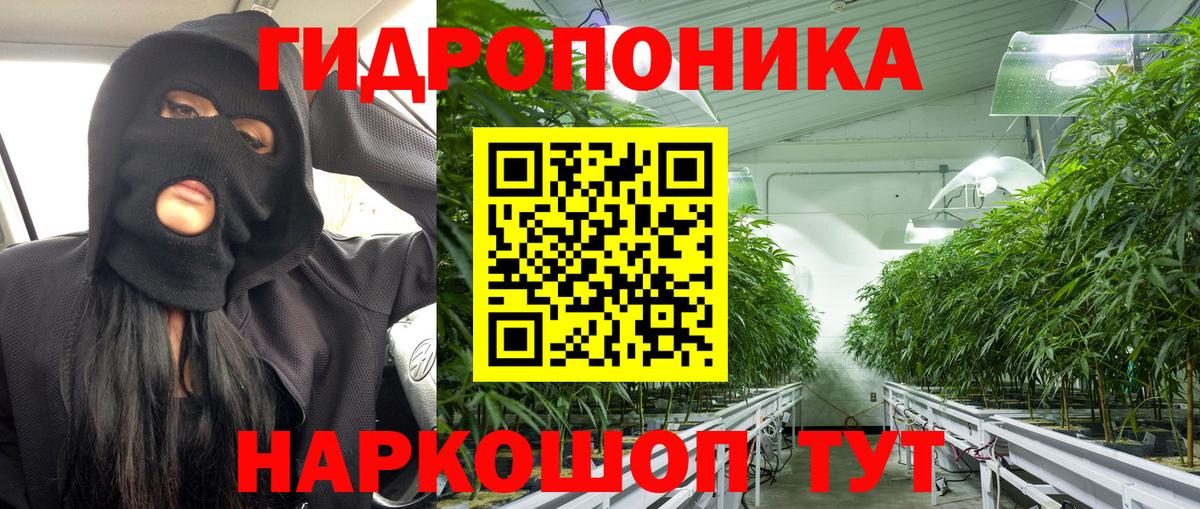 Конопля White Widow  Каннабис конопля  Чебоксары  Вход с VPN  Каннабис конопля  Канабис планчик 
